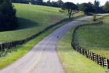 Lot 4 Twelve Ridges Way - Photo 10