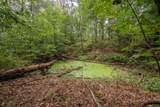 1557 Rinacas Corner Rd - Photo 22