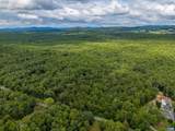 19.54 AC Presidents Rd - Photo 3