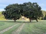 5051 Shannon Hill Rd - Photo 3