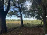 27233 Horseshoe Rd - Photo 72