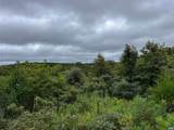 TBA Old Green Mountain Rd - Photo 10