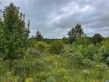 TBA Old Green Mountain Rd - Photo 11