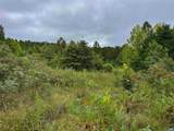 TBA Old Green Mountain Rd - Photo 12