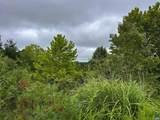 TBA Old Green Mountain Rd - Photo 13