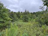 TBA Old Green Mountain Rd - Photo 15
