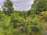 TBA Old Green Mountain Rd - Photo 16