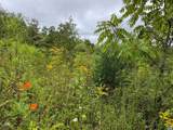 TBA Old Green Mountain Rd - Photo 18