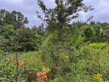 TBA Old Green Mountain Rd - Photo 19