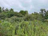 TBA Old Green Mountain Rd - Photo 20