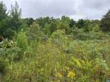 TBA Old Green Mountain Rd - Photo 23