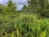 TBA Old Green Mountain Rd - Photo 24