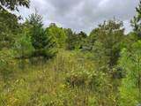 TBA Old Green Mountain Rd - Photo 25