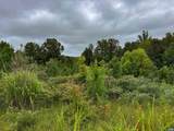 TBA Old Green Mountain Rd - Photo 26
