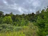 TBA Old Green Mountain Rd - Photo 27