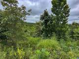 TBA Old Green Mountain Rd - Photo 29
