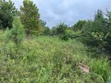 TBA Old Green Mountain Rd - Photo 31