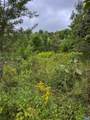 TBA Old Green Mountain Rd - Photo 32