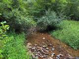 TBA Old Green Mountain Rd - Photo 4