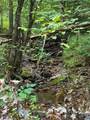TBA Old Green Mountain Rd - Photo 6