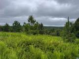 TBA Old Green Mountain Rd - Photo 8