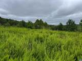 TBA Old Green Mountain Rd - Photo 9