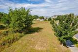 3.39 Acres Naomis Way - Photo 13