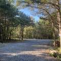 D47 Greenway Ln - Photo 1