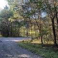 D47 Greenway Ln - Photo 4