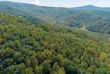 TBD Forest Homes Dr - Photo 12