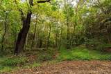 TBD Bald Rock Rd - Photo 19