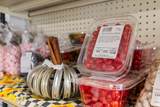 3930 Cromer Rd - Photo 19