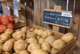3930 Cromer Rd - Photo 22
