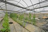 3930 Cromer Rd - Photo 39