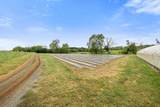 3930 Cromer Rd - Photo 45