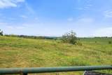 3930 Cromer Rd - Photo 54