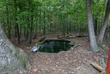 4679 Mountain Farm Rd - Photo 69
