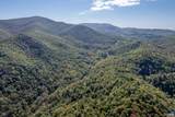 13630 Crabtree Falls Hwy - Photo 16