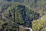 13630 Crabtree Falls Hwy - Photo 2