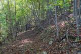 13630 Crabtree Falls Hwy - Photo 25