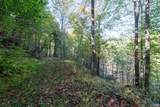 13630 Crabtree Falls Hwy - Photo 28