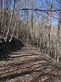 13630 Crabtree Falls Hwy - Photo 39