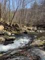 13630 Crabtree Falls Hwy - Photo 4