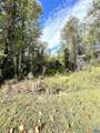 0 Riverdale Rd - Photo 9