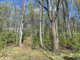 2728 East Branch Loop - Photo 42