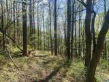 2728 East Branch Loop - Photo 47