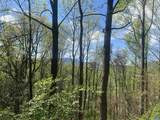 2728 East Branch Loop - Photo 48