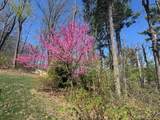 124 Steeplechase Dr - Photo 59