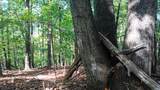 0 Oakcrest Ln - Photo 22
