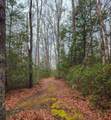 3763 Potomac River Rd - Photo 11
